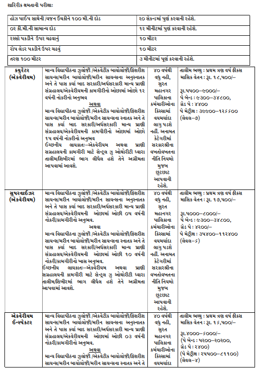SMC Recruitment 2026 14